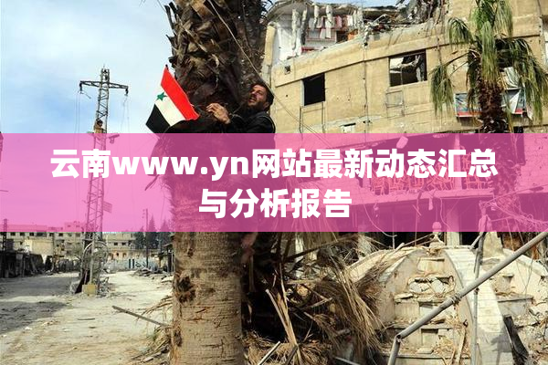 云南www.yn网站最新动态汇总与分析报告