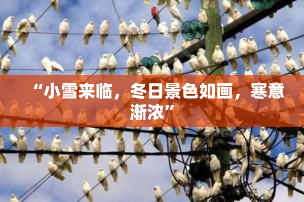 “小雪来临，冬日景色如画，寒意渐浓”