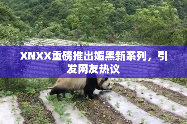 XNXX重磅推出媚黑新系列，引发网友热议