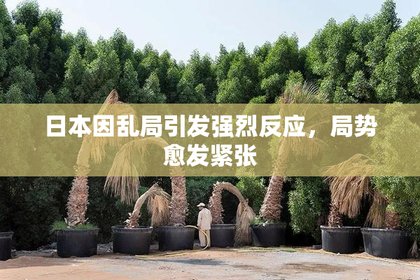 日本因乱局引发强烈反应，局势愈发紧张
