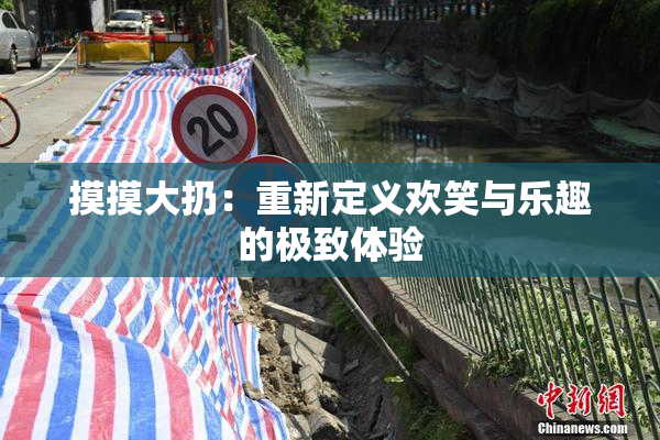 摸摸大扔：重新定义欢笑与乐趣的极致体验