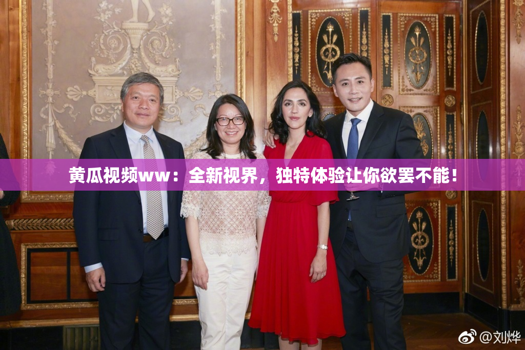 黄瓜视频ww：全新视界，独特体验让你欲罢不能！