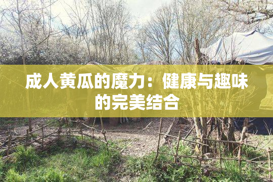 成人黄瓜的魔力：健康与趣味的完美结合