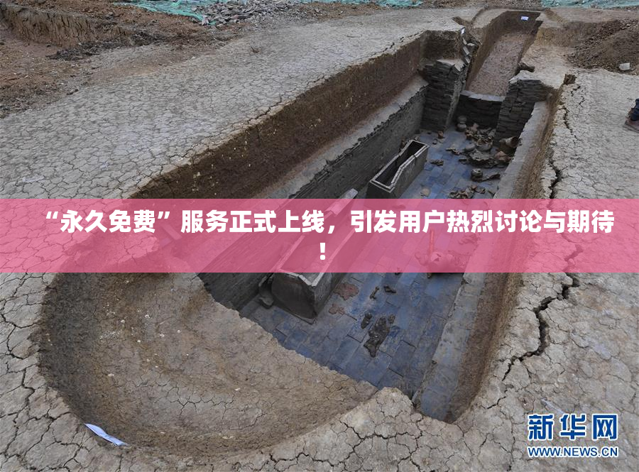 “永久免费”服务正式上线，引发用户热烈讨论与期待！