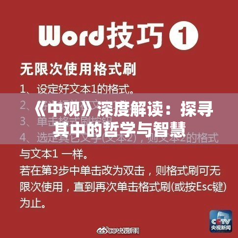 《中观》深度解读：探寻其中的哲学与智慧