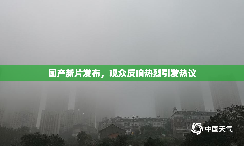 国产新片发布，观众反响热烈引发热议