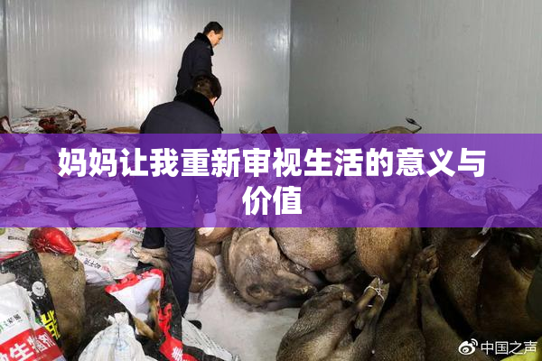 妈妈让我重新审视生活的意义与价值