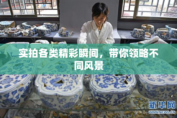 实拍各类精彩瞬间，带你领略不同风景
