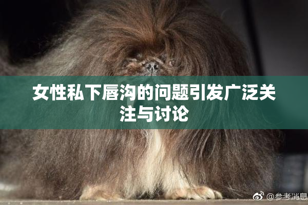 女性私下唇沟的问题引发广泛关注与讨论