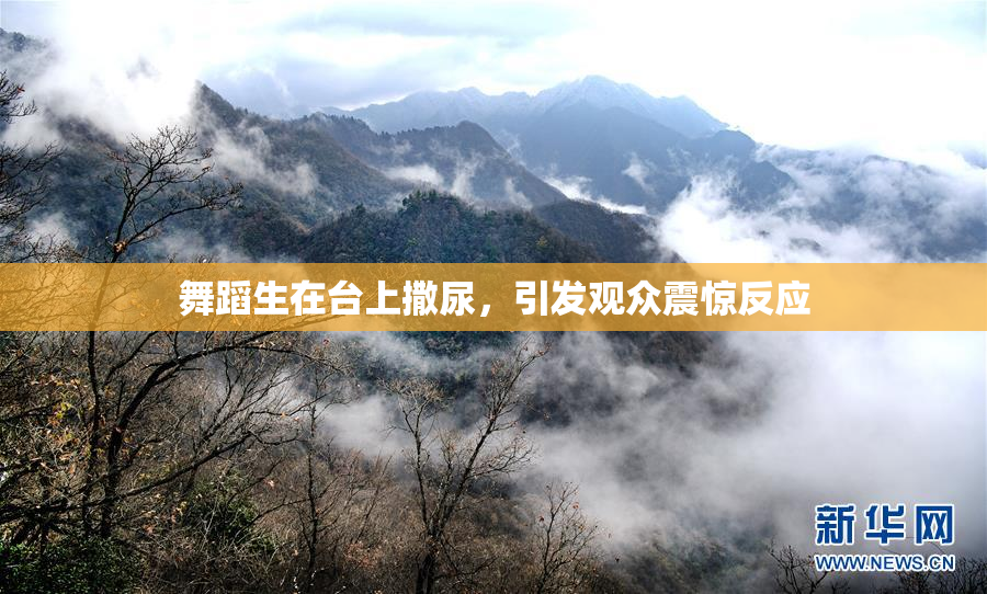 舞蹈生在台上撒尿，引发观众震惊反应