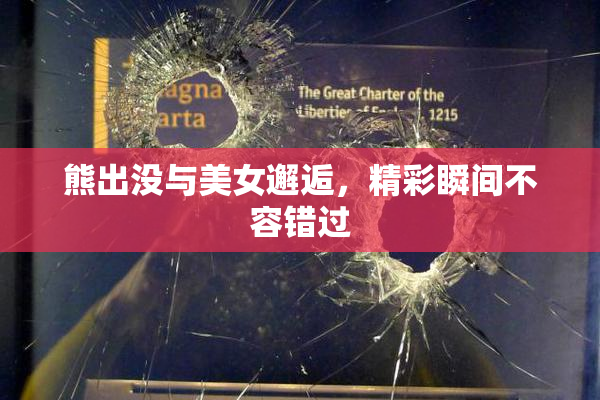 熊出没与美女邂逅，精彩瞬间不容错过