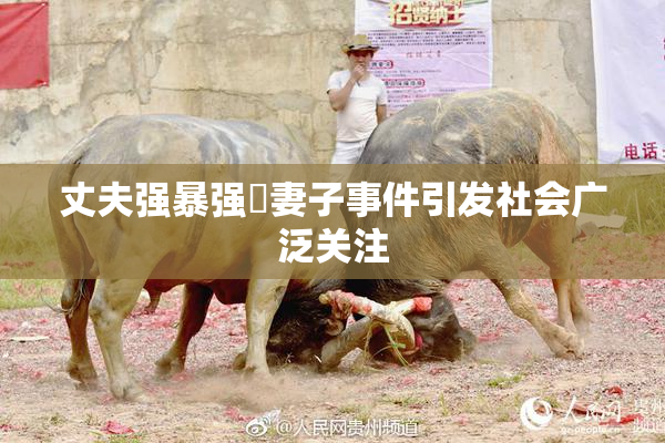 丈夫强暴强姦妻子事件引发社会广泛关注