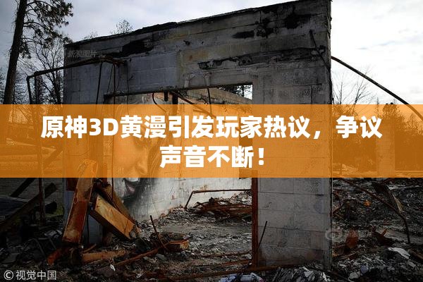 原神3D黄漫引发玩家热议，争议声音不断！