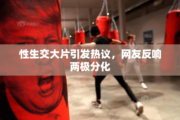 性生交大片引发热议，网友反响两极分化