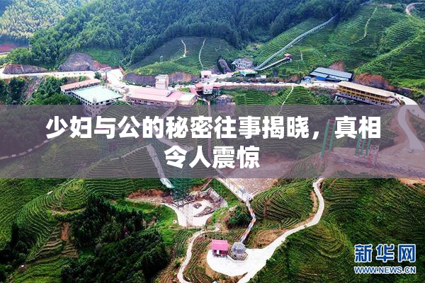 少妇与公的秘密往事揭晓，真相令人震惊