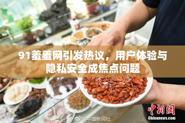 91羞羞网引发热议，用户体验与隐私安全成焦点问题