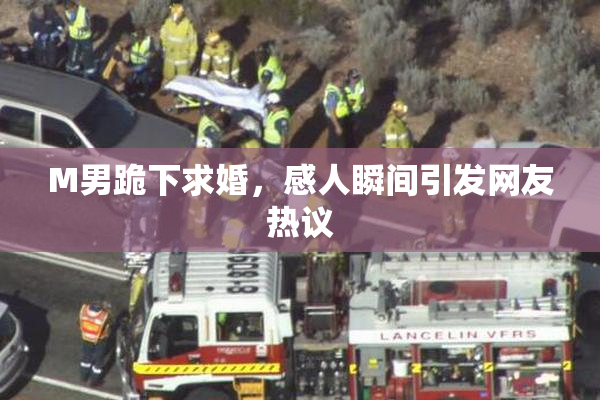 M男跪下求婚，感人瞬间引发网友热议