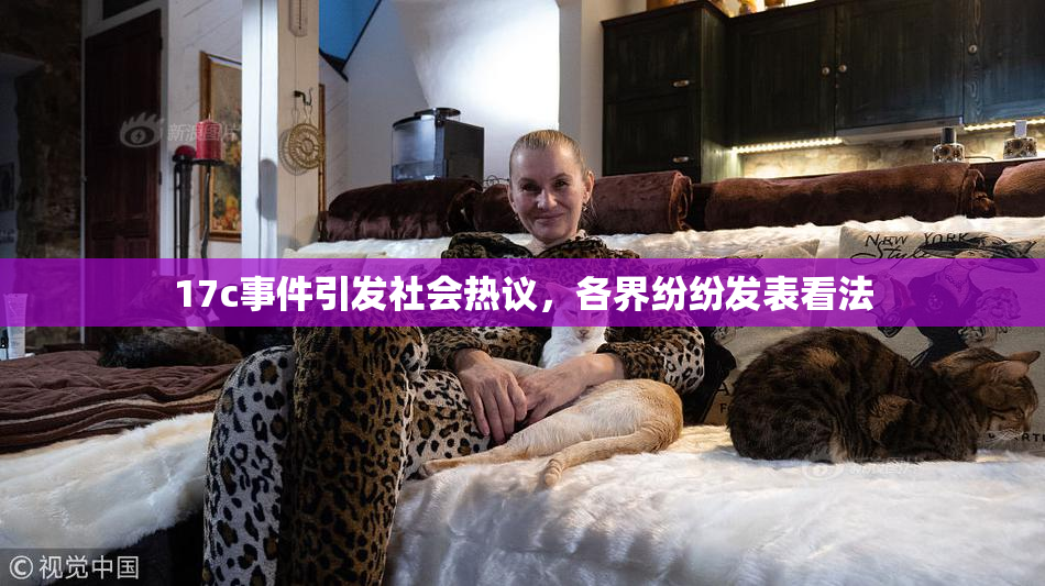 17c事件引发社会热议，各界纷纷发表看法