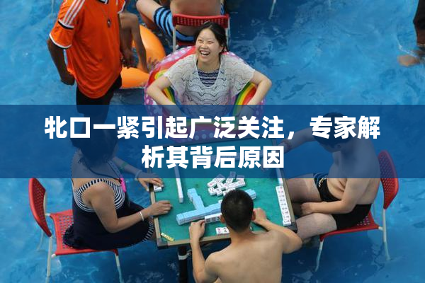 牝口一紧引起广泛关注，专家解析其背后原因