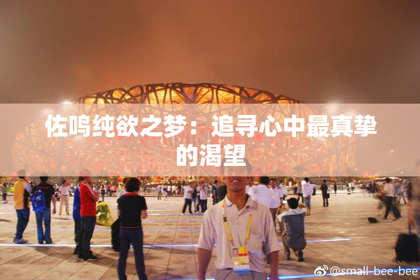 佐鸣纯欲之梦：追寻心中最真挚的渴望