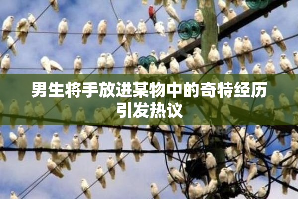 男生将手放进某物中的奇特经历引发热议