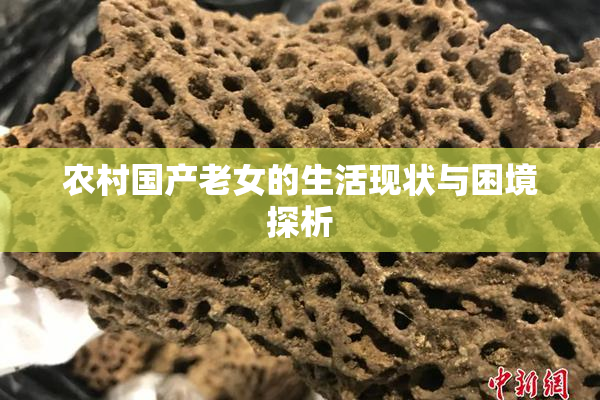 农村国产老女的生活现状与困境探析