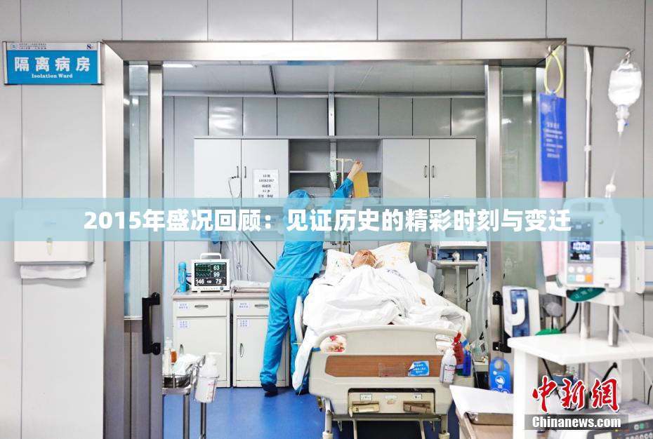 2015年盛况回顾：见证历史的精彩时刻与变迁