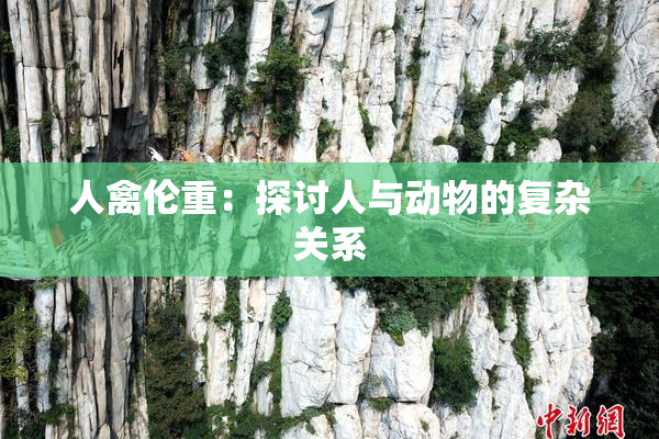 人禽伦重：探讨人与动物的复杂关系