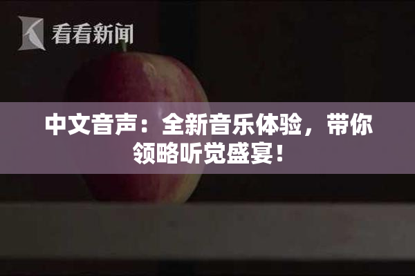 中文音声：全新音乐体验，带你领略听觉盛宴！