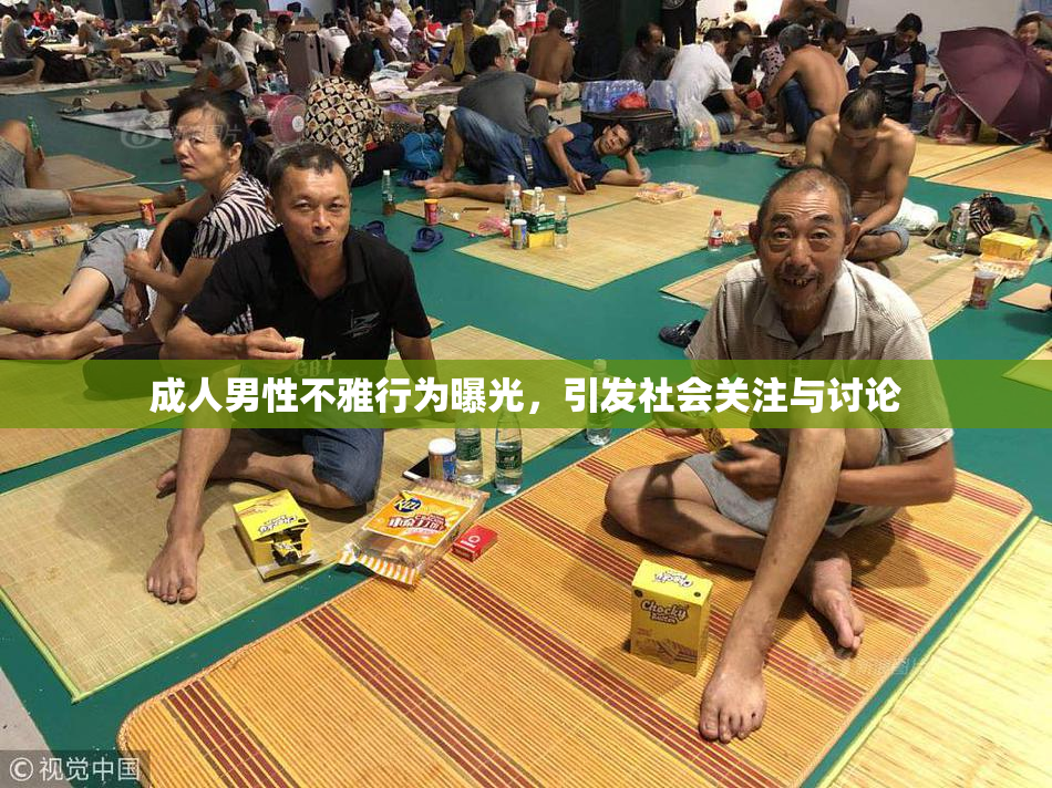 成人男性不雅行为曝光，引发社会关注与讨论