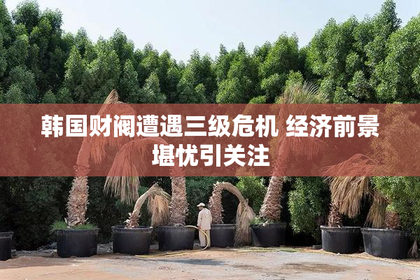 韩国财阀遭遇三级危机 经济前景堪忧引关注