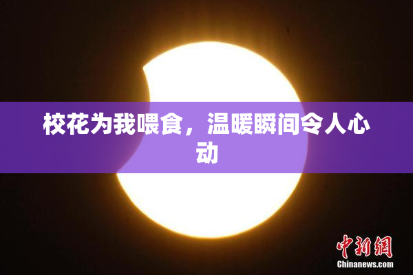 校花为我喂食，温暖瞬间令人心动