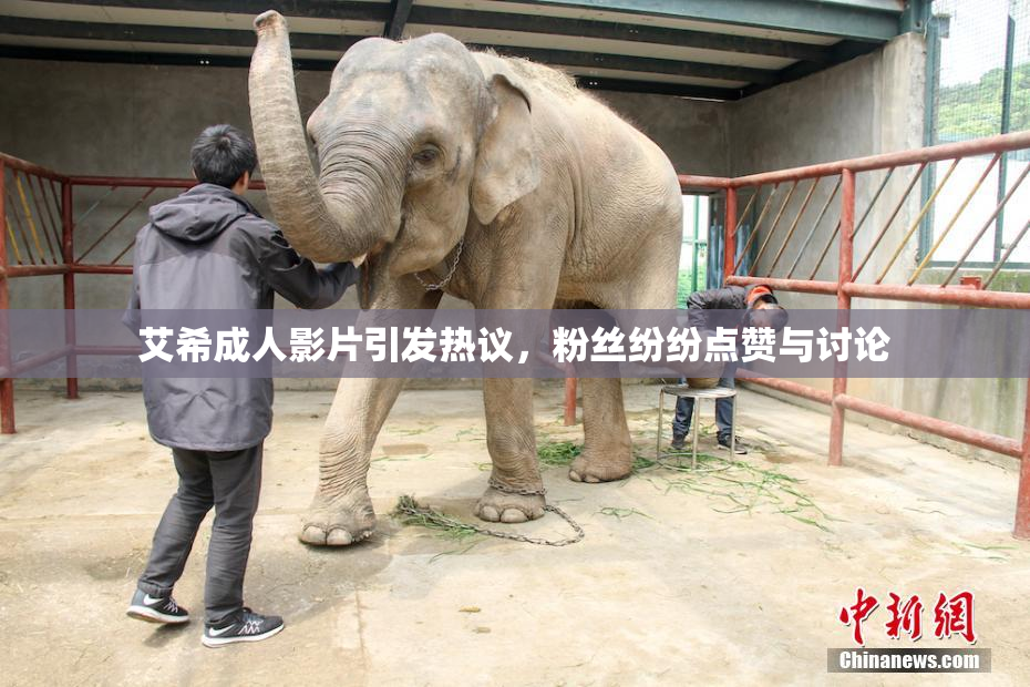 艾希成人影片引发热议，粉丝纷纷点赞与讨论