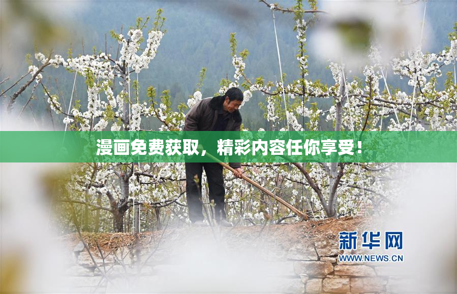 漫画免费获取，精彩内容任你享受！