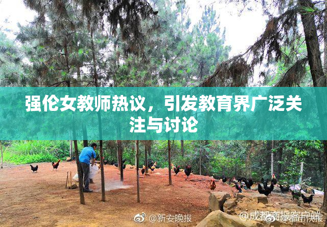强伦女教师热议，引发教育界广泛关注与讨论