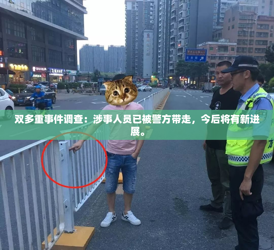 双多重事件调查：涉事人员已被警方带走，今后将有新进展。