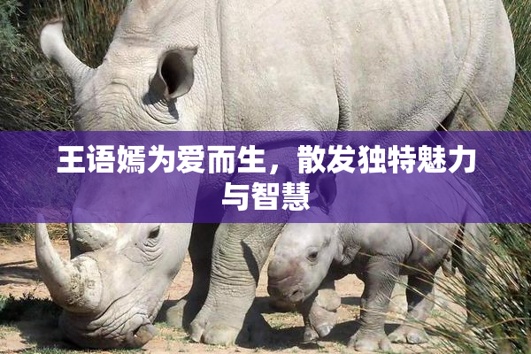 王语嫣为爱而生，散发独特魅力与智慧