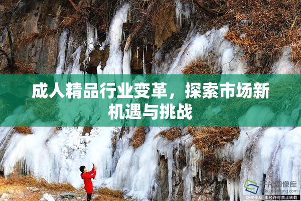 成人精品行业变革，探索市场新机遇与挑战