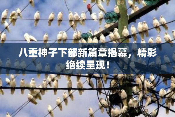 八重神子下部新篇章揭幕，精彩绝续呈现！