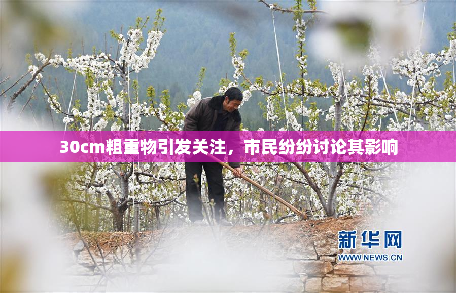 30cm粗重物引发关注，市民纷纷讨论其影响