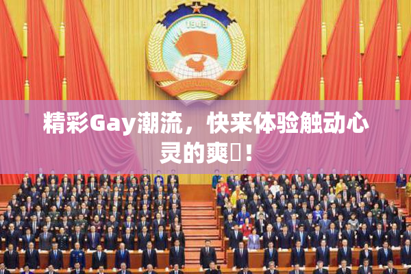 精彩Gay潮流，快来体验触动心灵的爽擼！