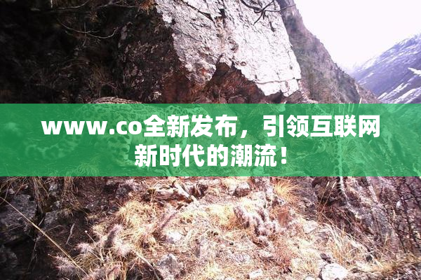 www.co全新发布，引领互联网新时代的潮流！