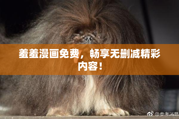 羞羞漫画免费，畅享无删减精彩内容！