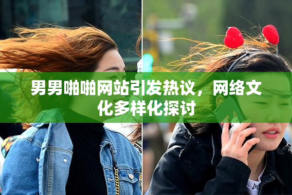 男男啪啪网站引发热议，网络文化多样化探讨