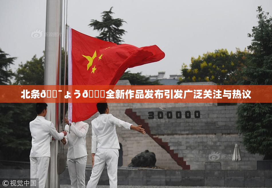北条🔯ょう🍓全新作品发布引发广泛关注与热议