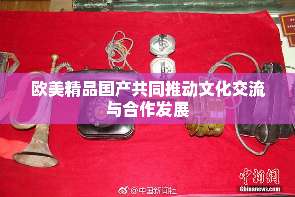 欧美精品国产共同推动文化交流与合作发展