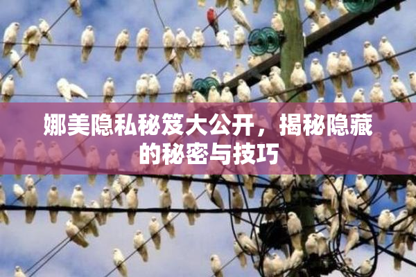 娜美隐私秘笈大公开，揭秘隐藏的秘密与技巧