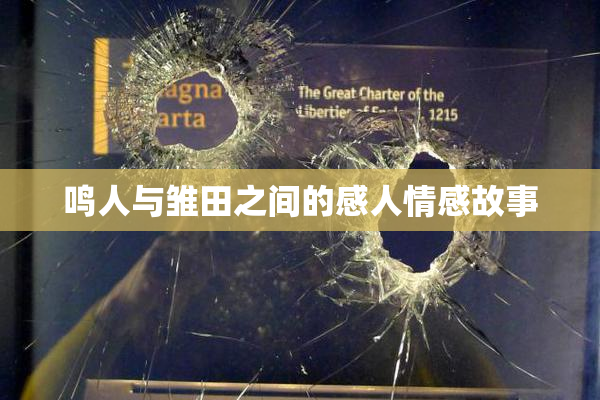 鸣人与雏田之间的感人情感故事