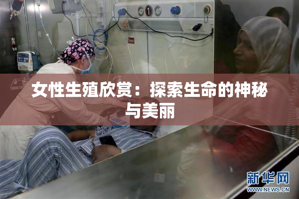 女性生殖欣赏：探索生命的神秘与美丽