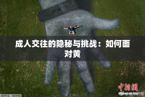 成人交往的隐秘与挑战：如何面对黄